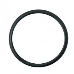 THERMOSTAT GASKET