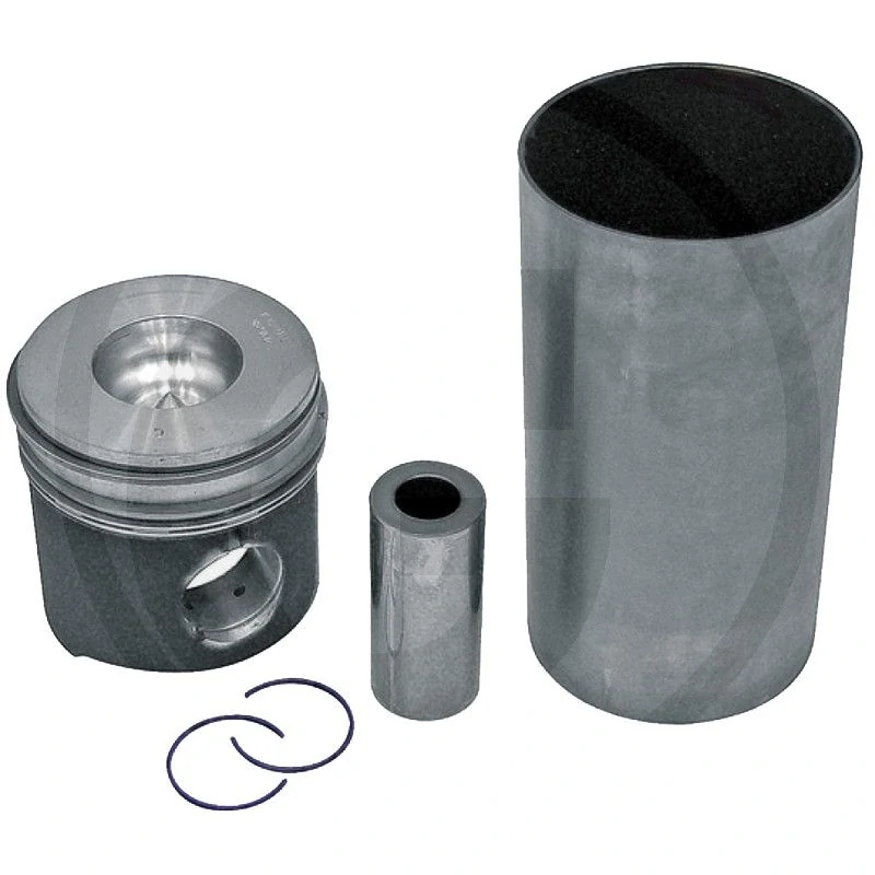 KIT DE CAMISETA DE PISTON COMPLETO FIAT IVECO 8065.06