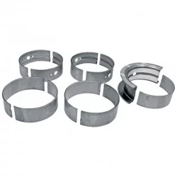 CASE 4T390 BEARING BEARING SET