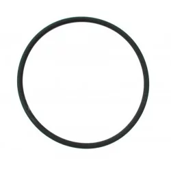 CASE O-RING