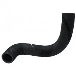 LOWER HOSE
