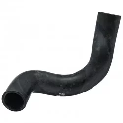 LOWER HOSE