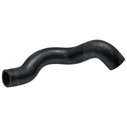 LOWER HOSE