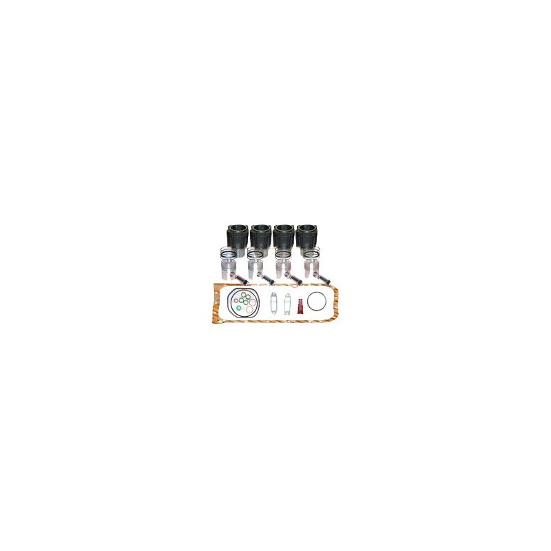 BF4L913 KIT DE REVISIÓN DEL MOTOR