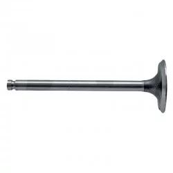 INTAKE VALVE