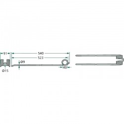 DENTE DI SWATHER