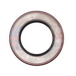 ANELLO STAGNO
