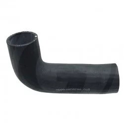LOWER HOSE
