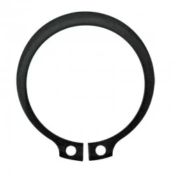 CIRCUITOS