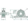 UCP207 BEARING