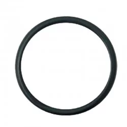 THERMOSTAT-O-RING