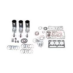 ENGINE OVERHAUL KIT D226-B6 - MWM