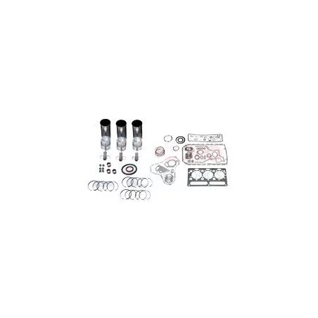 KIT REVISION MOTOR D226-B6 - MWM