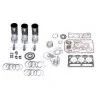 KIT REVISION MOTOR D226-B6 - MWM