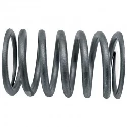 VALVE SPRING