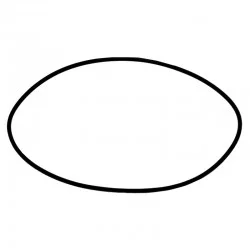 O-RING