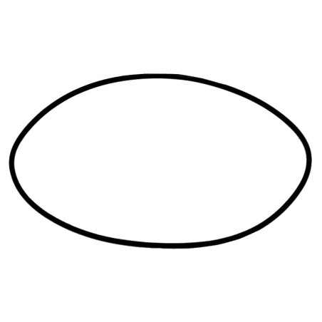 O-RING