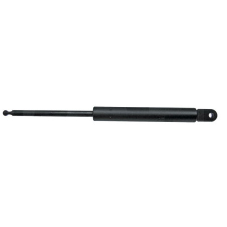 ROOF GAS SPRING