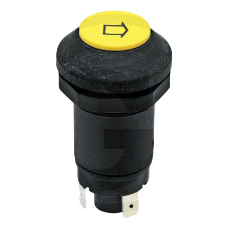 PUSHBUTTON