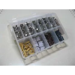 ASSORTIMENTO FUSIBILI