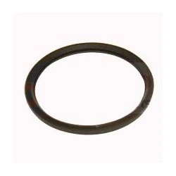 JOINT DE THERMOSTAT