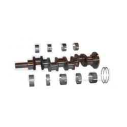 KIT VILEBREQUIN STANDARD POUR MASSEY-FERGUSON