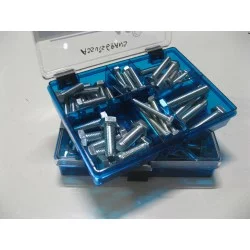 SURTIDO DE TORNILLOS DE CABEZA HEXAGONAL