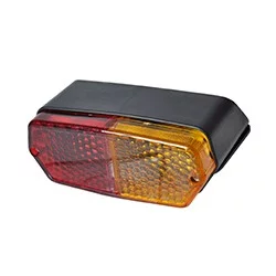 LUCE POSTERIORE DESTRA A 2 POSIZIONI