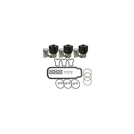 Kit de pistons / manchons pour Steyr, Kit de pistons / manchons