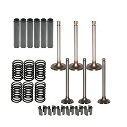 KIT COMPLETO DE VÁLVULAS