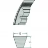 COURROIE TRAPEZOIDALE CRANTEE - XPA 667
