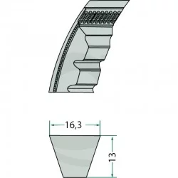 CORREA TRAPECIAL CON DENTADA - XPB1250
