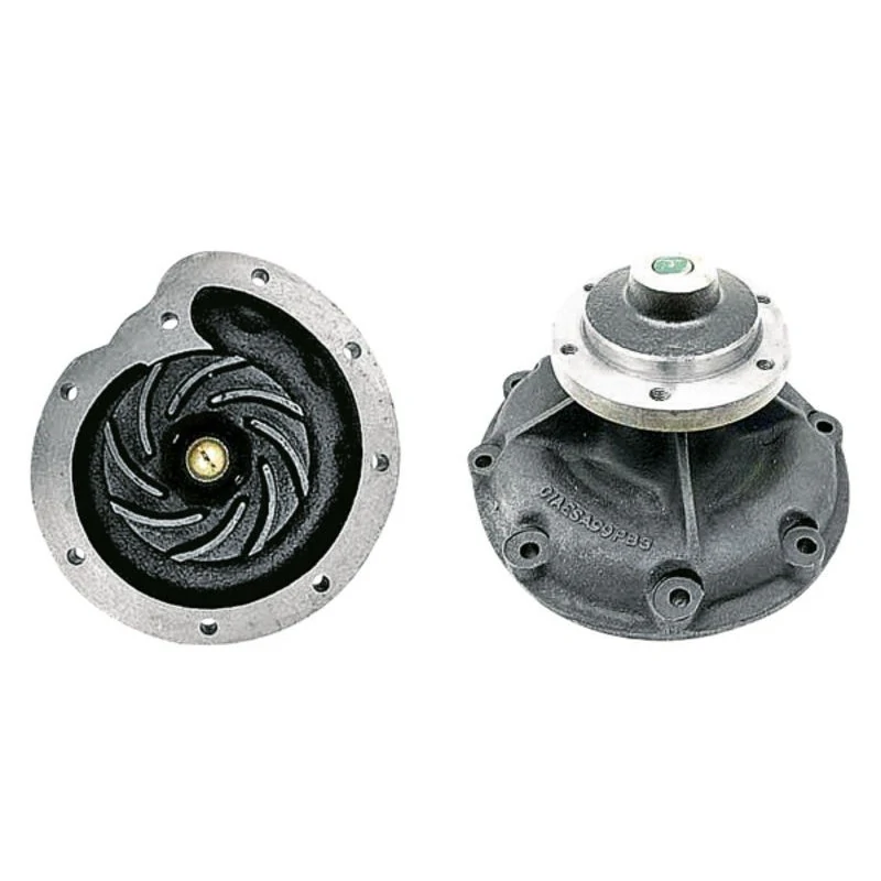 POMPE A EAU POUR CASE