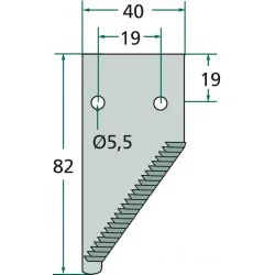 EXTERNAL SECTION