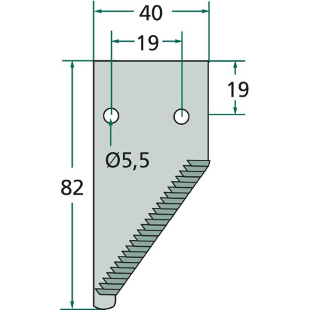 EXTERNAL SECTION