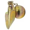ROTULE A OREILLE CATEGORIE 2 ROTULE A OREILLE CATEGORIE 2