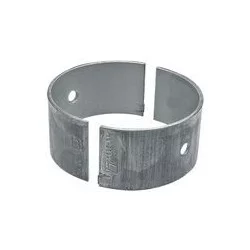 GUSCIO DEL CUSCINETTO A STELO