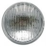 MAIN HEADLIGHT LENS (RIGHT AND LEFT)