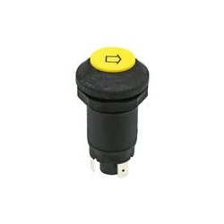 BOUTON POUSSOIR RELEVAGE