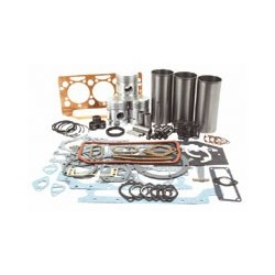 3164D ENGINE OVERHAUL KIT