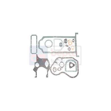 COMPLEMENTARY POUCH A4.318