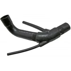 LOWER HOSE