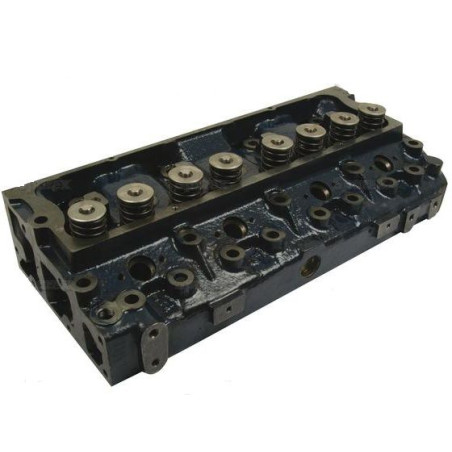 TESTATA
