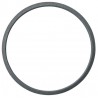 SEAL RING FOR PISTON