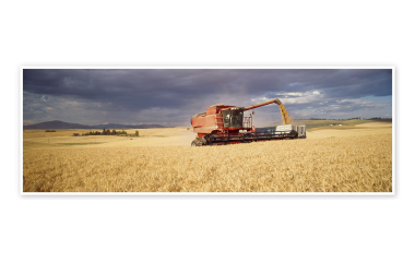 Moisson 2025 en France : un départ précoce et prometteur pour la campagne céréalière