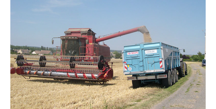 Moisson 2018 : La récolte des blés en avance