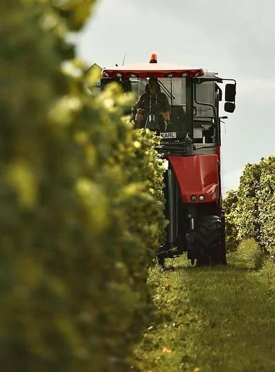 Le nostre offerte attuali