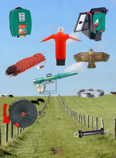 Nos offres du moment