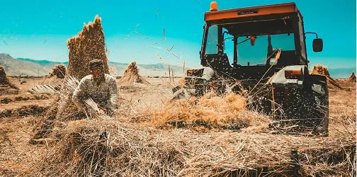 Imagem de ilustração da categoria Produção de feno