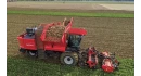 Icon Potato harvester